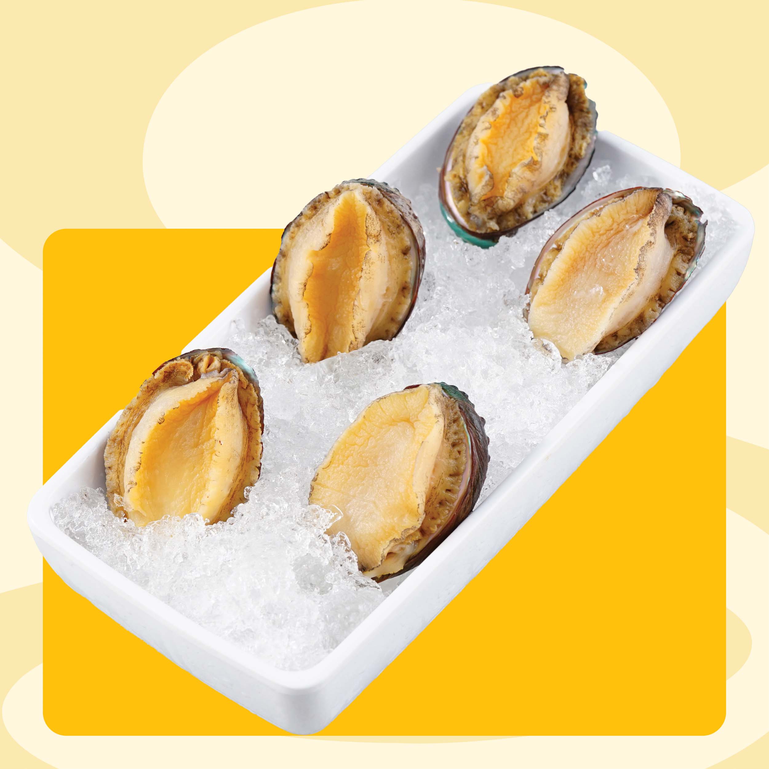Bào Ngư